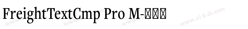 FreightTextCmp Pro M字体转换 FreightTextCmp Pro M字体转换